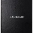 Na barrikadakh. In Russian/At the barricades