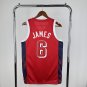 USA Basketball #6 Lebron James Red 2024 Swingman Player