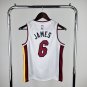 Vintage Miami Heat #6 Lebron James Swingman Player