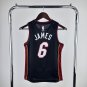 Vintage Miami Heat #6 Lebron James Swingman Player