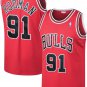 DENNIS RODMAN RETRO BULLS
