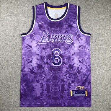 LeBron James #6 Los Angeles Lakers Violet