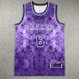 LeBron James #6 Los Angeles Lakers Violet