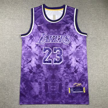 LeBron James #23 Los Angeles Lakers Violet