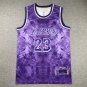 LeBron James #23 Los Angeles Lakers Violet