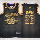LeBron James #23 Mamba Black