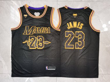 LeBron James #23 Mamba Black