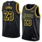 LEBRON JAMES SNAKESKIN EDITION