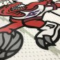 #1 Mcgrady Raptors 1998-99 M&N heat pressed jersey white