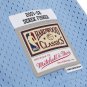 #2 Derek Fisher Minneapolis Lakers 2001-02  M&N jersey blue (heat pressed)