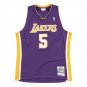 #5 Robert Horry Lakers 1999-00  M&N jersey purple (heat pressed)