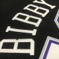 #10 Mike Bibby Kings 2001-02 M&N heat pressed jersey black