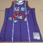#17 Lin Raptors M&N heat pressed jersey (Team name in Chinese)
