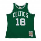 #18 Dave Cowens Boston Celtics Dark 1973-74 M&N Jersey green (heat pressed)