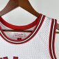 #23 Jordan Bulls 1984-85 M&N jersey white (heat pressed)