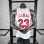 #23 Jordan Bulls 1984-85 M&N jersey white (heat pressed)
