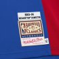 #32 Richard Hamilton Detroit Pistons Dark Finals 2004 M&N Jersey blue (heat pressed)