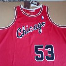 #53 Artis Gilmore Chicago Bulls 1977-78 M&N Jersey red (heat pressed)