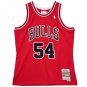 #54 Horace Grant Chicago Bulls 1990-91 M&N Jersey red (heat pressed)