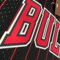 #91 Rodman Bulls 1995-96 M&N heat pressed jersey black with stripe