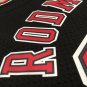 #91 Rodman Bulls 1997-98 M&N heat pressed jersey black