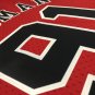 #91 Rodman Bulls 1997-98 M&N heat pressed jersey red