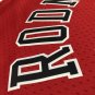 #91 Rodman Bulls 1997-98 M&N heat pressed jersey red