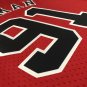 #91 Rodman Bulls 1997-98 M&N heat pressed jersey red
