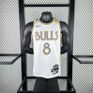 25th season Bulls City Edition No. 8 LaVine