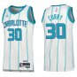 Hornets #30 Dell Curry White Stripe Swingman Jersey