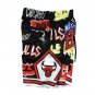 2025 Chicago Bulls Slap Sticker Swingman Shorts