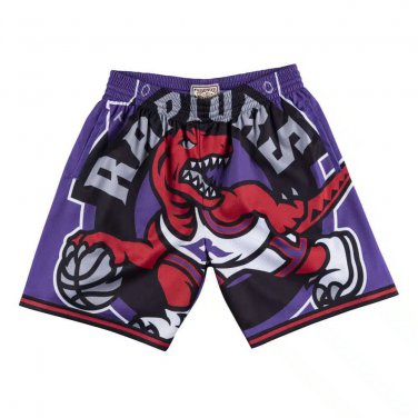 2025 Toronto Raptors Big Face M&N Purple Shorts