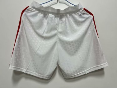 BEN-FICA 25-26 SHORT PLAYER VERSION