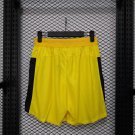 DORTMUND 25-26 SHORT PLAYER VERSION
