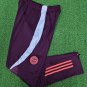 bayern player verison long pant