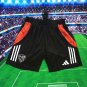 Mineiro training shorts S-4XL