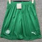 palmeiras 25-26 shorts