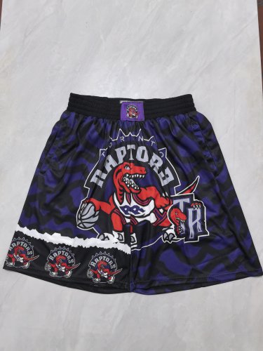 Raptors purple heat transfer pocket ball pants