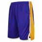 Men's Basketball Shorts Mesh Quick Dry Sport Shorts Blue Yellow