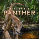 Path of the Panther (2022) DVD Movie Free Shipping Path of the Panther (2022) DVD Movie Free Shipping