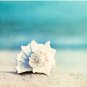 _paradise_ - Aqua Beach Seashell Pillow