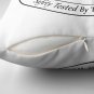 _safety Tested For Mimics_ By The Wizard's Guild Pillow