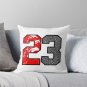 23 Cement Pillow