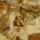 Small Cubic zirconia gold hoop earrings-46040