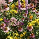 NATIVE FLOWER MIX FOR 1000 Seeds MONARCHS w/ MILKWEEDFlower Flower Seeds