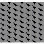 Abyssinian Ground Hornbill Socks