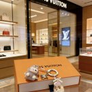 LV versatile accessories (67)