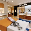LV versatile accessories (264)