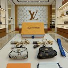 LV versatile accessories (311)
