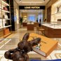 LV versatile accessories (344)